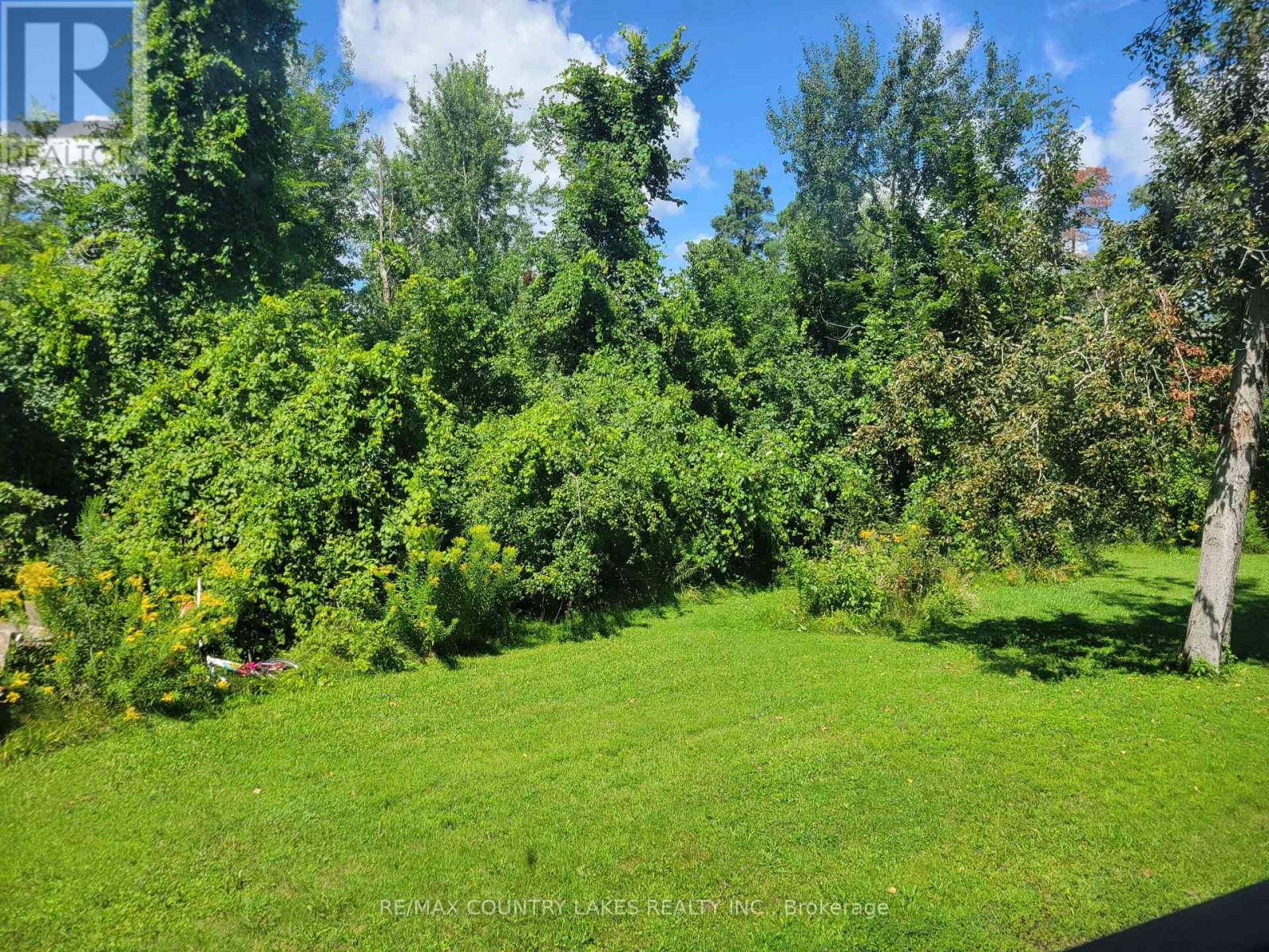4 Macpherson Crescent, Kawartha Lakes, Ontario  K0M 2B0 - Photo 40 - X13661844