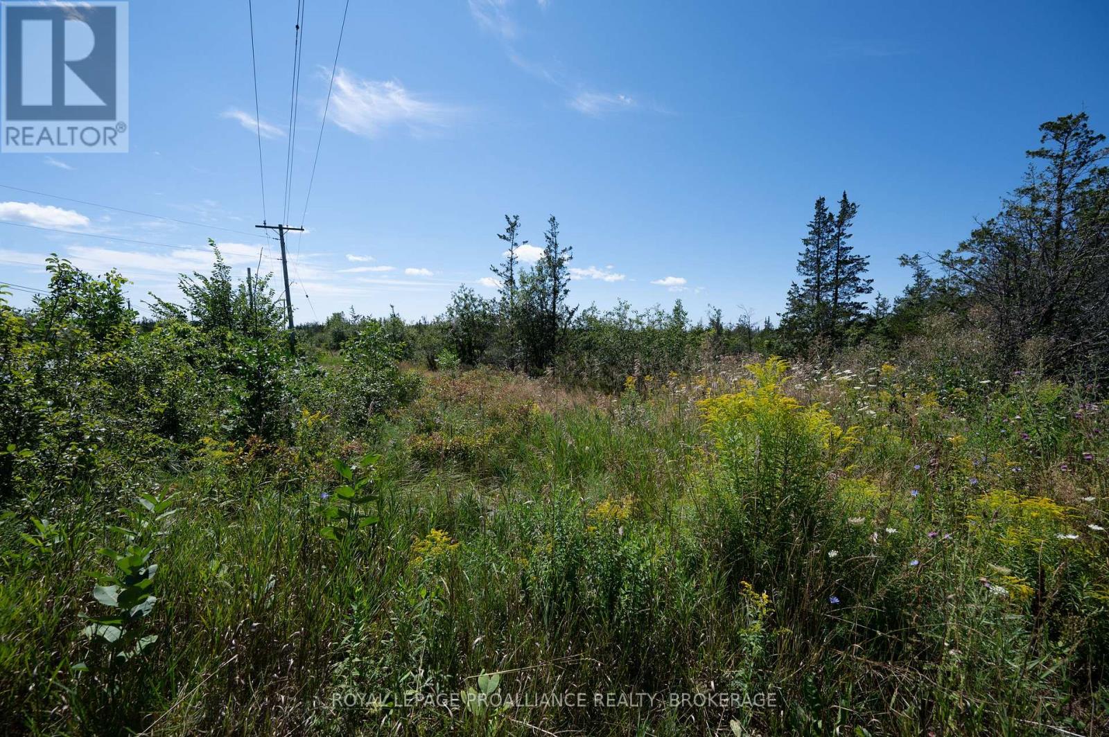 1707 County Road 2 Road, Prince Edward County, Ontario  K0K 1P0 - Photo 7 - X13686894