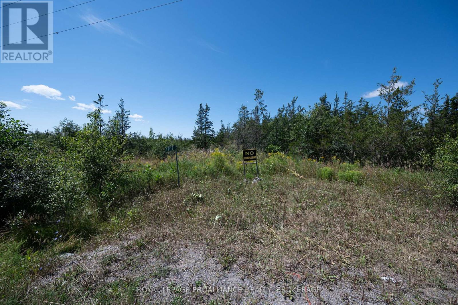 1707 County Road 2 Road, Prince Edward County, Ontario  K0K 1P0 - Photo 8 - X13686894