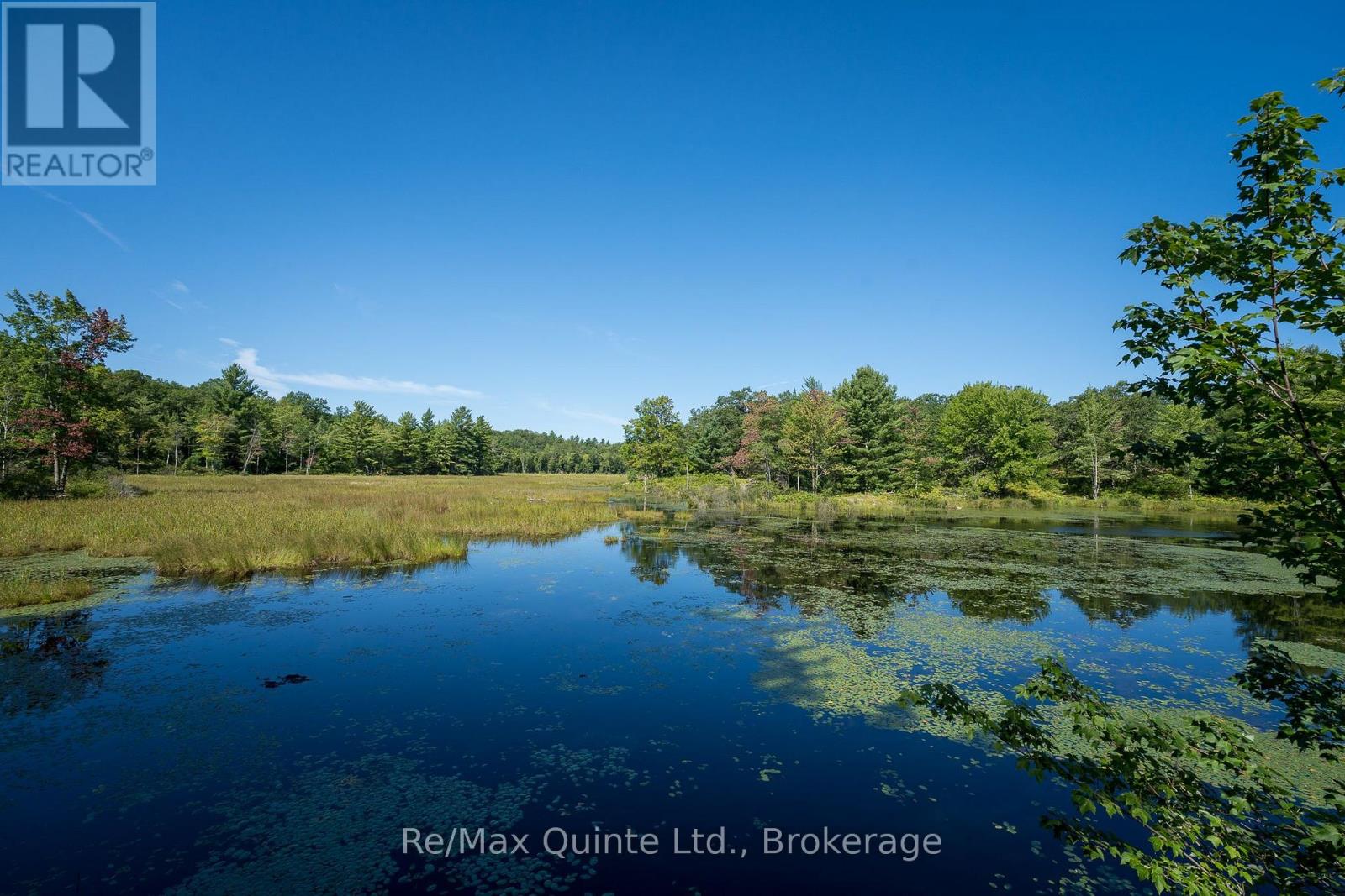 1477 Sulphide Road, Tweed, Ontario  K0K 3J0 - Photo 38 - X13686994