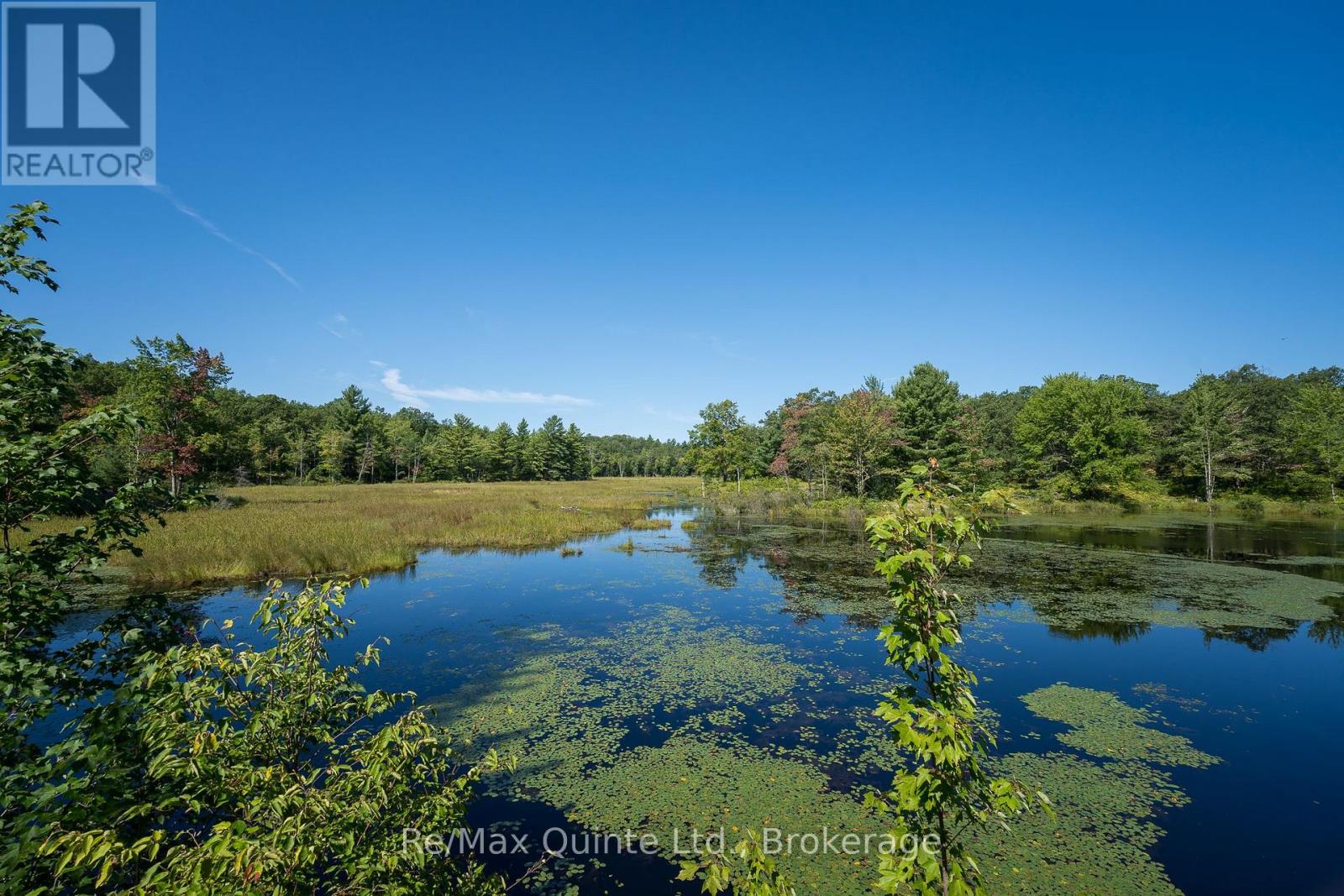 1477 Sulphide Road, Tweed, Ontario  K0K 3J0 - Photo 43 - X13686994