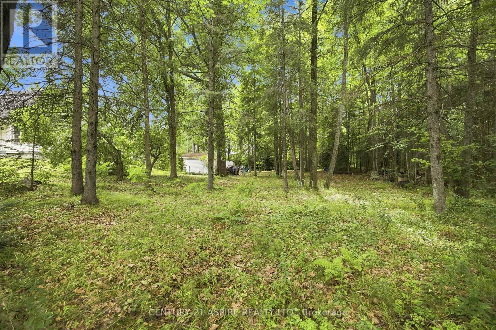 2583 B Line Road, Laurentian Valley, Ontario  K8A 6W8 - Photo 44 - X13684782