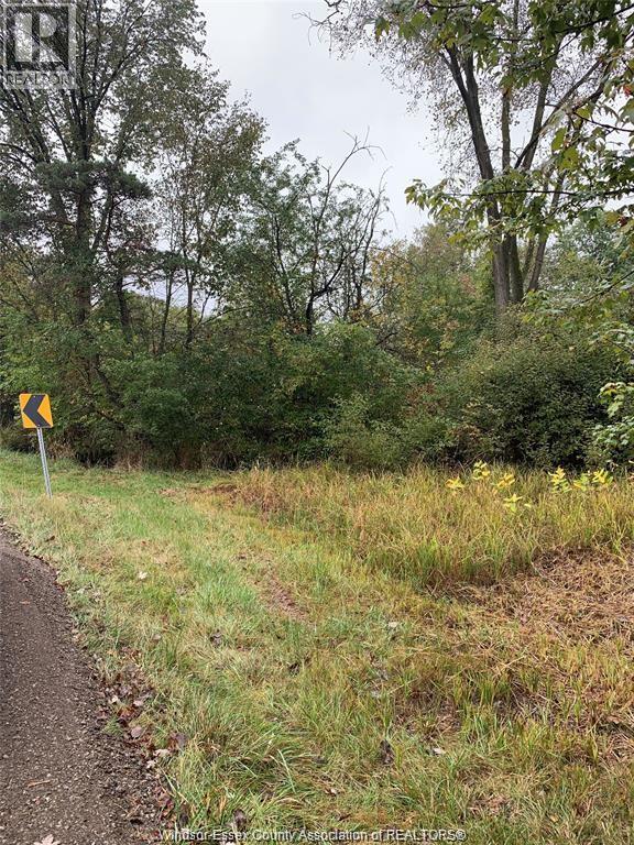 V/l Brush Side Road, Essex, Ontario  N8M 2X6 - Photo 2 - 26020130
