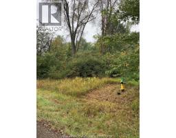 V/L BRUSH SIDE ROAD, Essex, Ontario