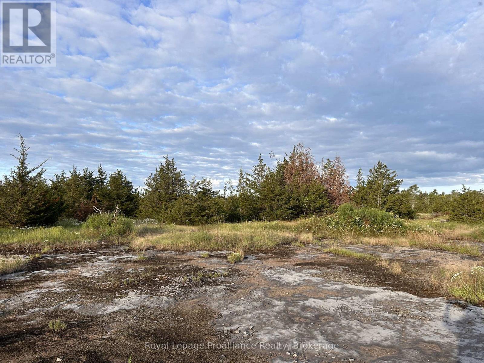 2916 Shannon Road, Tyendinaga, Ontario  K0K 3A0 - Photo 7 - X13683668