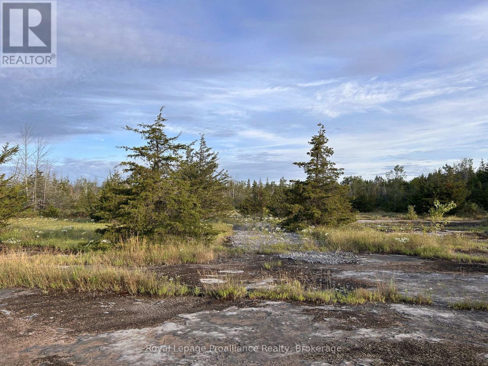 2916 Shannon Road, Tyendinaga, Ontario  K0K 3A0 - Photo 6 - X13683668