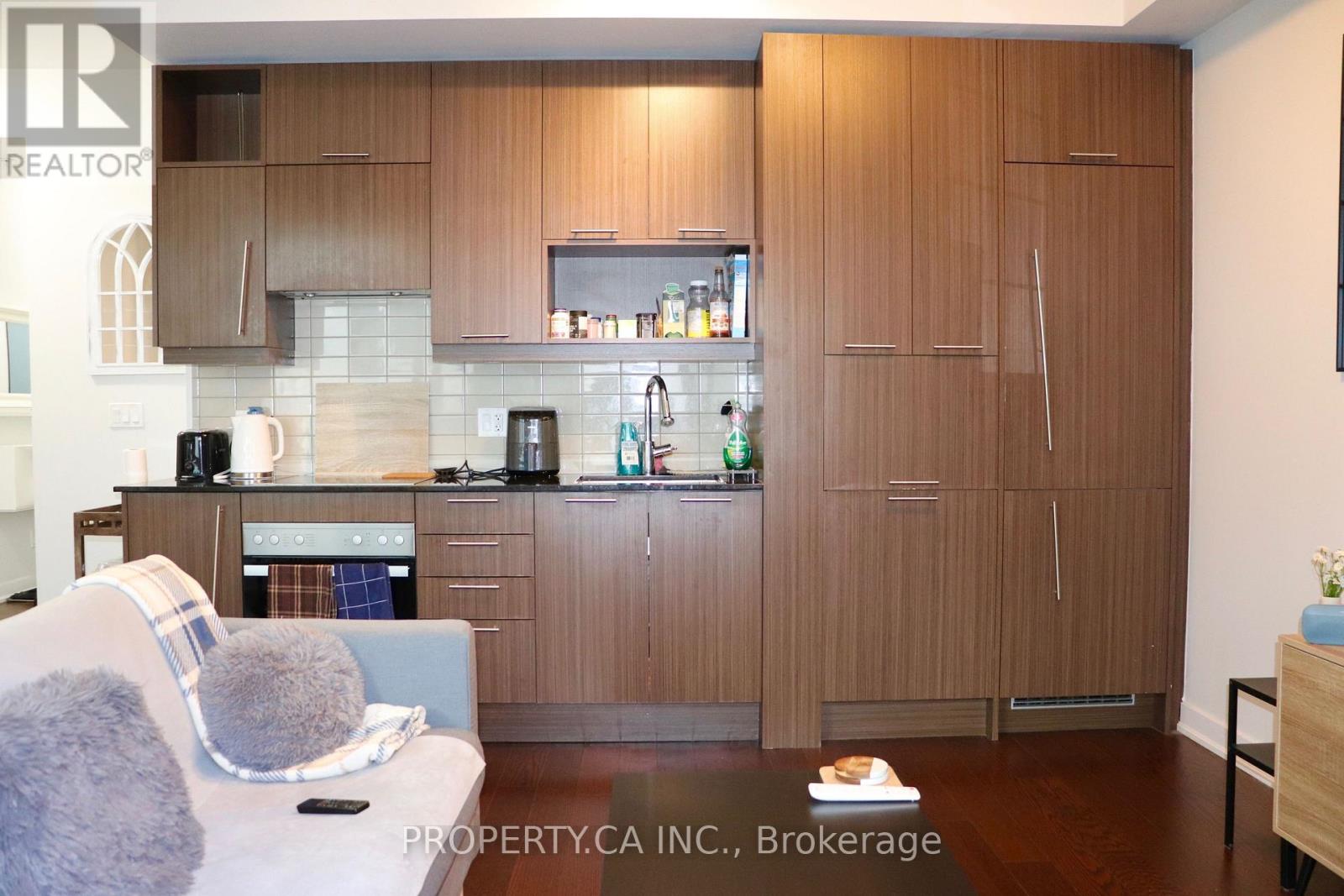 318 - 199 Richmond Street, Toronto, Ontario  M5V 0H4 - Photo 3 - C13686790