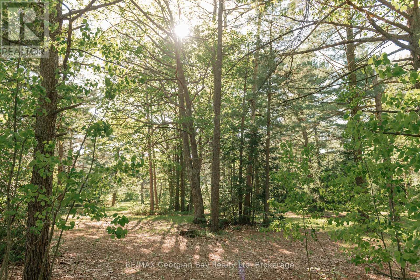 8 Sunrise Court, Tiny, Ontario  L9M 0H2 - Photo 26 - S13686990