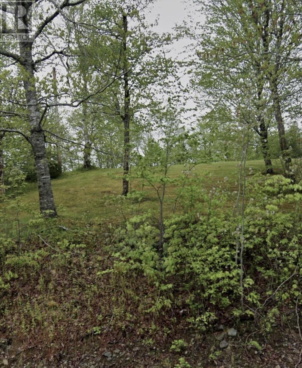 51 Lead Mine Road, Glenelg, Nova Scotia  B0H 1E0 - Photo 2 - 202600223