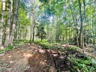 330 13th Concession Road, Scotland, Ontario  N0E 1R0 - Photo 8 - 40853607