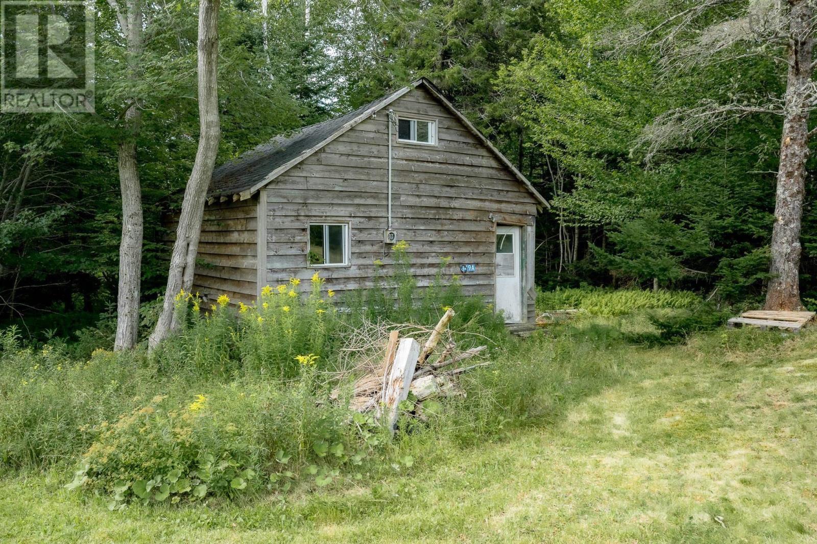 picture 45