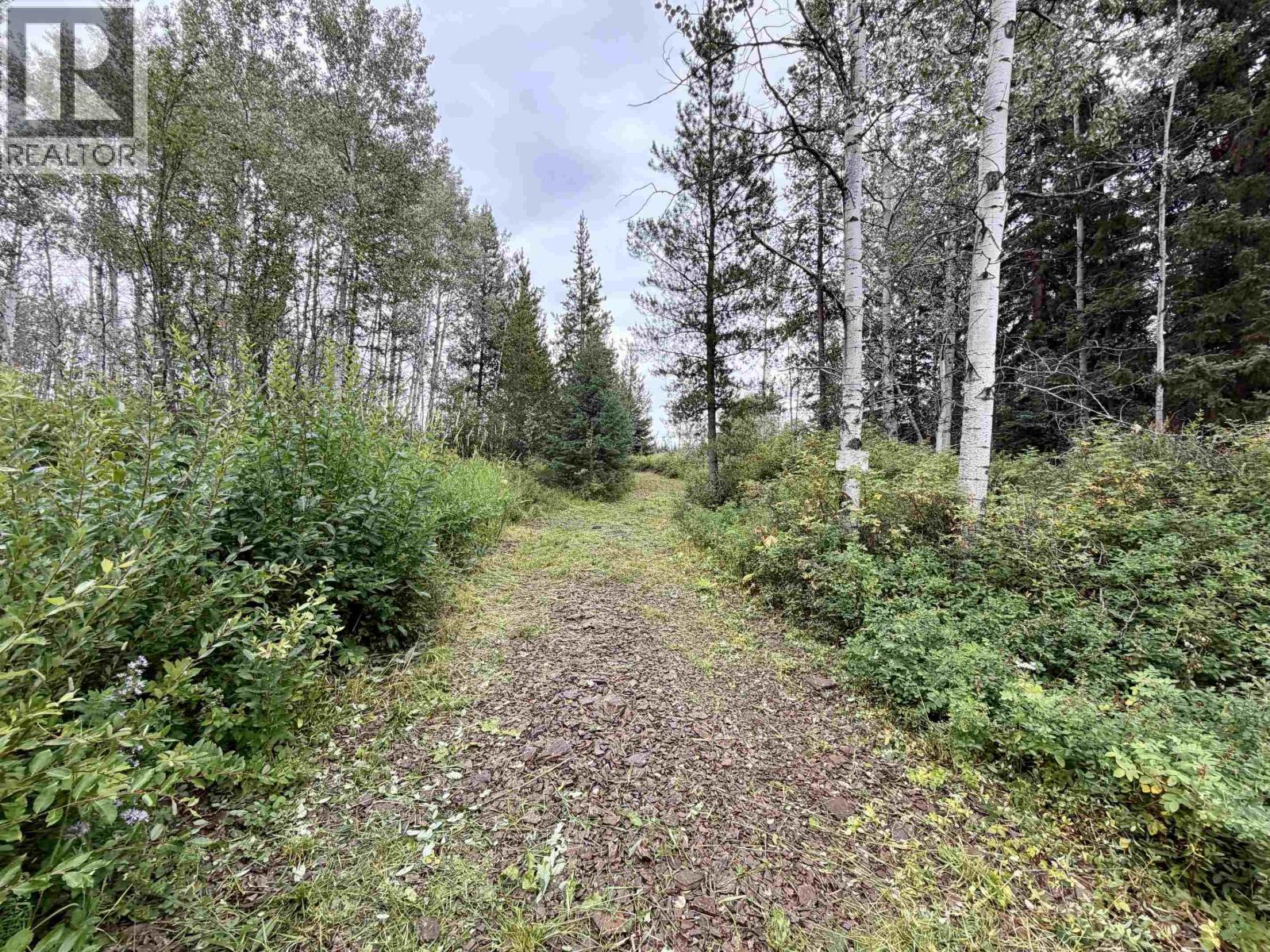 Lot 7 Grantham Road, Telkwa, British Columbia  V0J 2N0 - Photo 31 - R3156704