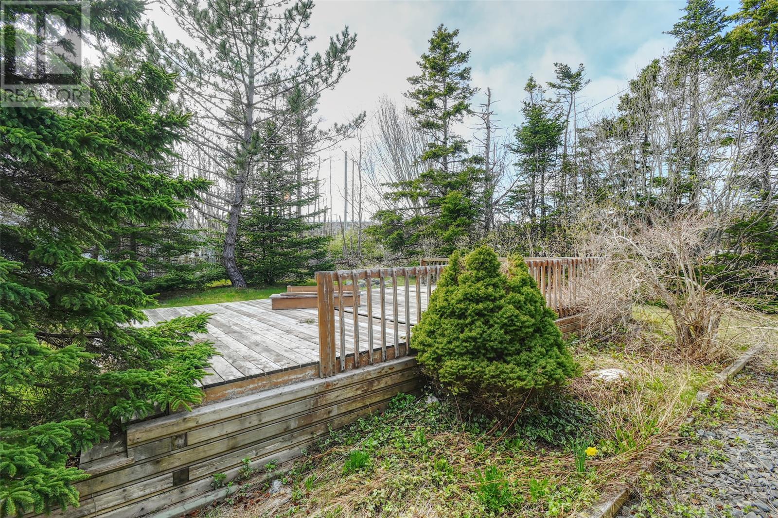 85 Airport Road, St. John's, Newfoundland & Labrador  A1A 4Y3 - Photo 7 - 1298334