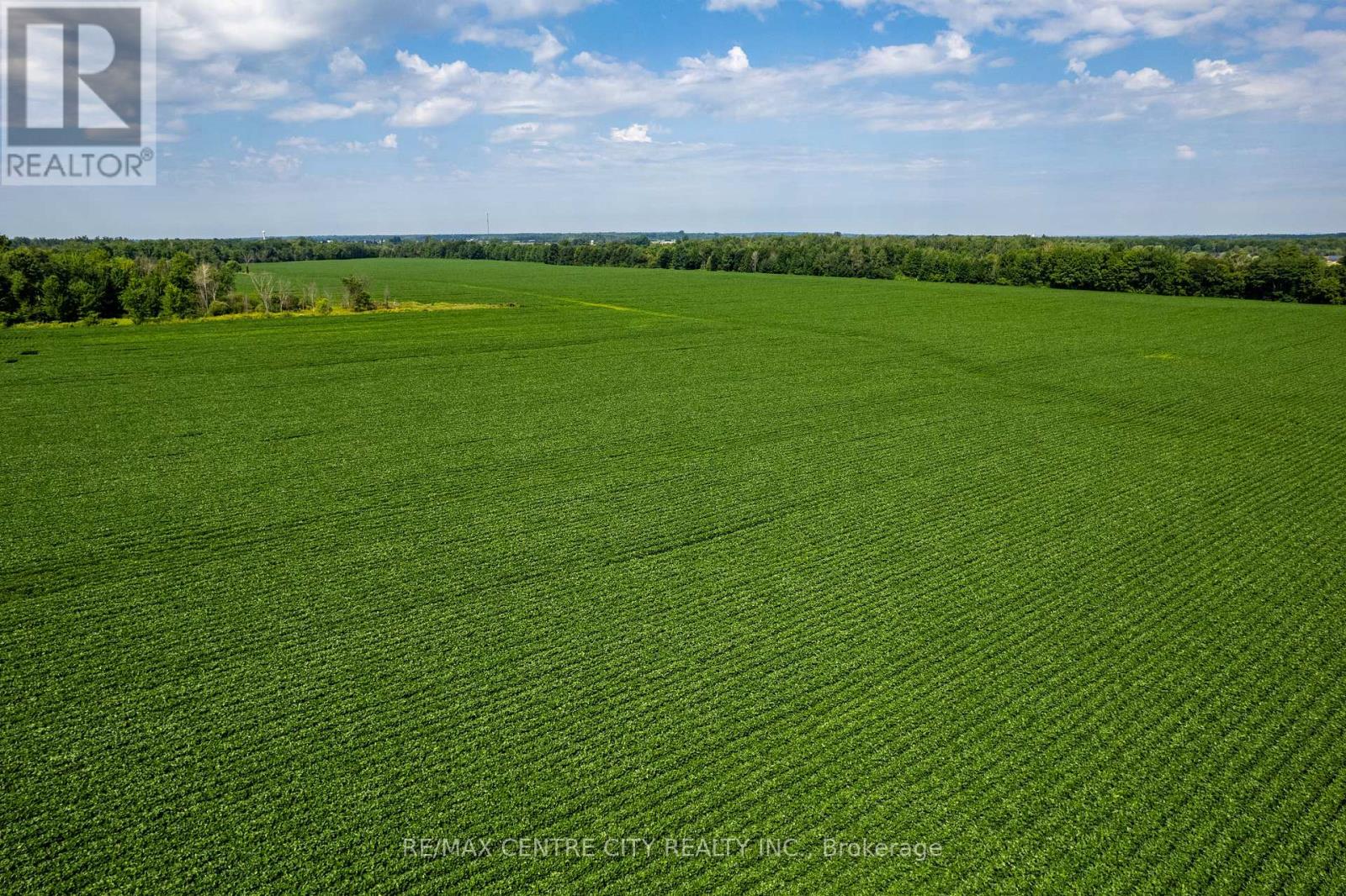 1537 St. Felix Road, Clarence-Rockland, Ontario  K0A 2A0 - Photo 8 - X13687460