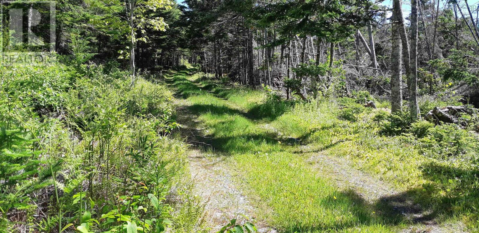 8132 Gabarus Highway, Gabarus, Nova Scotia  B1K 2B1 - Photo 26 - 202603363