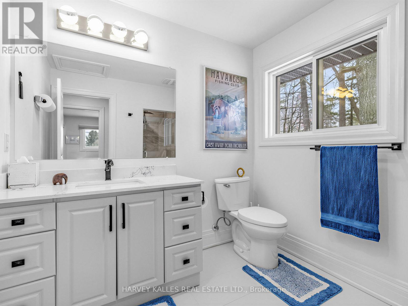 123 Sand Road, East Gwillimbury, Ontario  L9N 1H9 - Photo 15 - N13687184