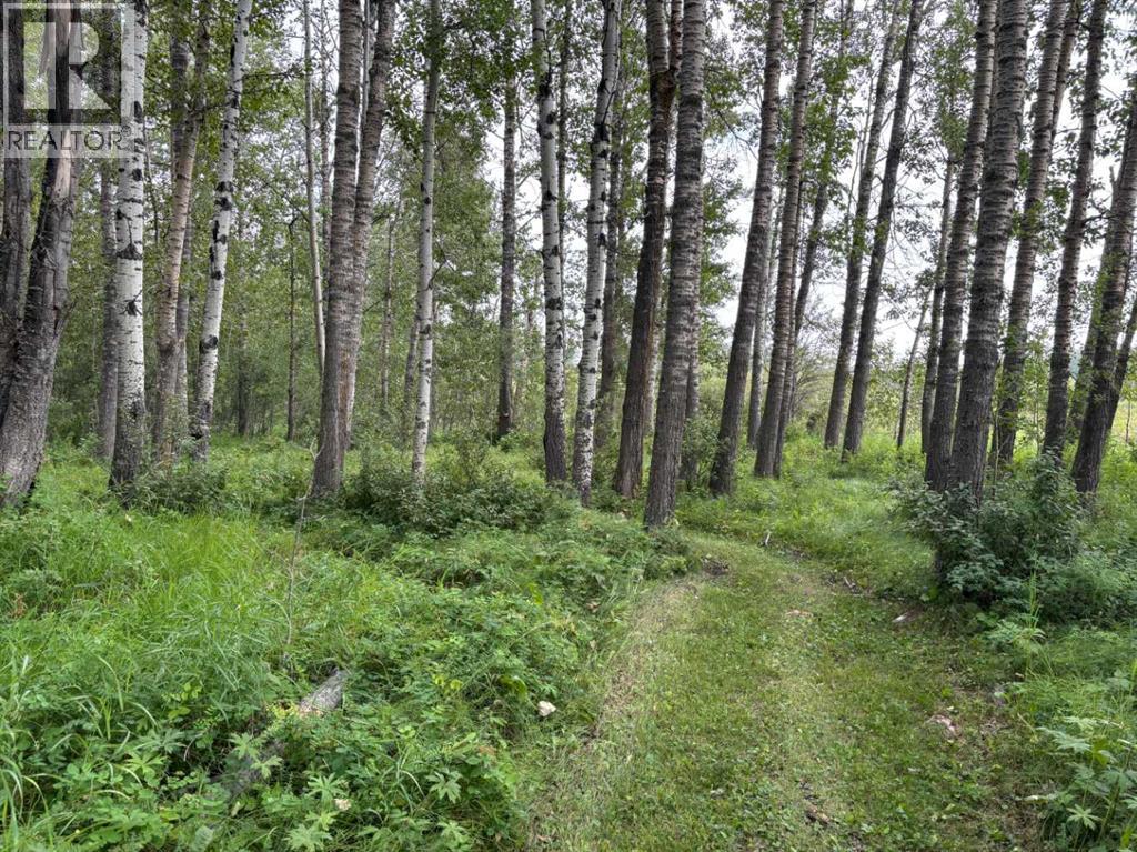 370040 Range Road 4-0, Rural Clearwater County, Alberta  T0M 0X0 - Photo 49 - A2336373