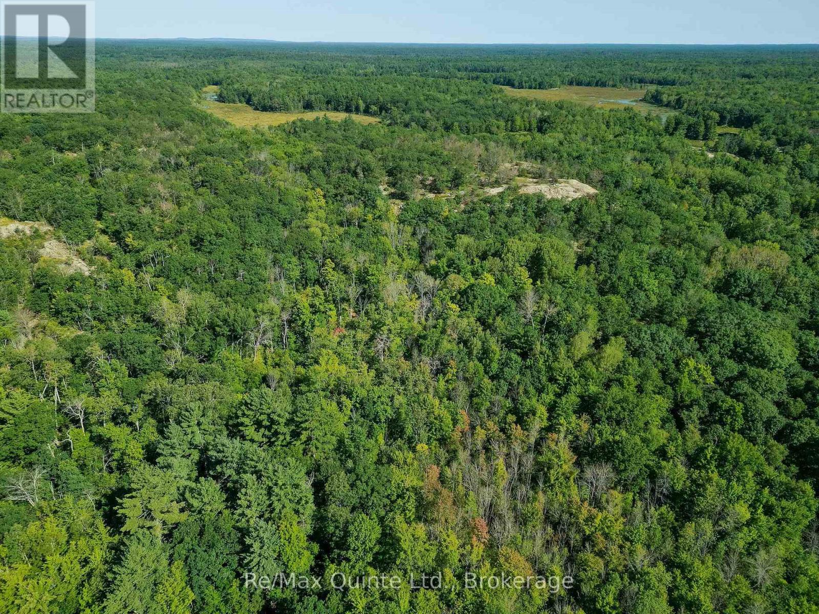 1477 Sulphide Road, Tweed, Ontario  K0K 3J0 - Photo 47 - X13686994