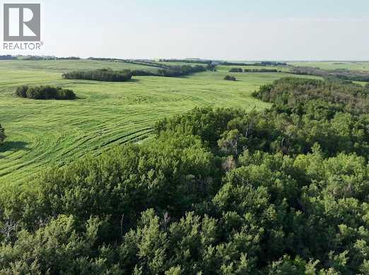 44101, #342 Range Road 214, Rural Camrose County, Alberta  T0B 1M0 - Photo 36 - A2337183
