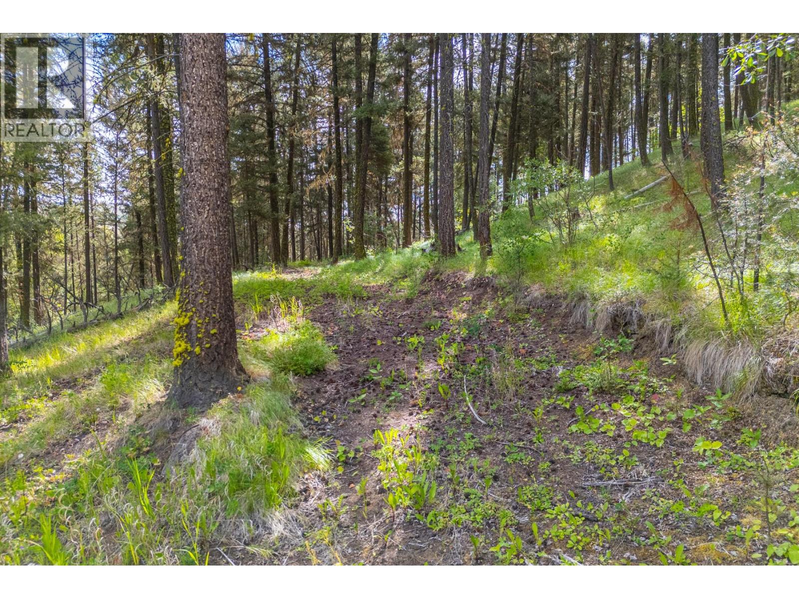 537 Wild Rose Drive, Merritt, British Columbia  V1K 1B8 - Photo 24 - 10393705