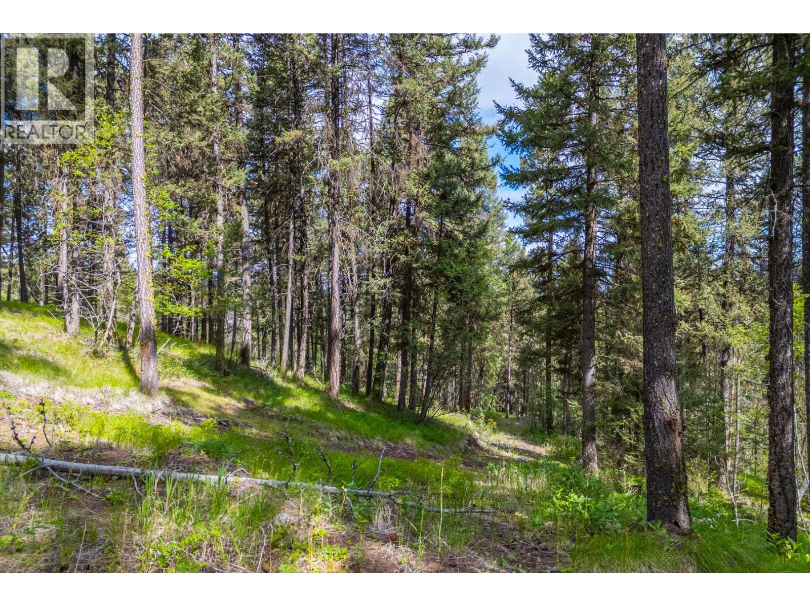 537 Wild Rose Drive, Merritt, British Columbia  V1K 1B8 - Photo 9 - 10393705