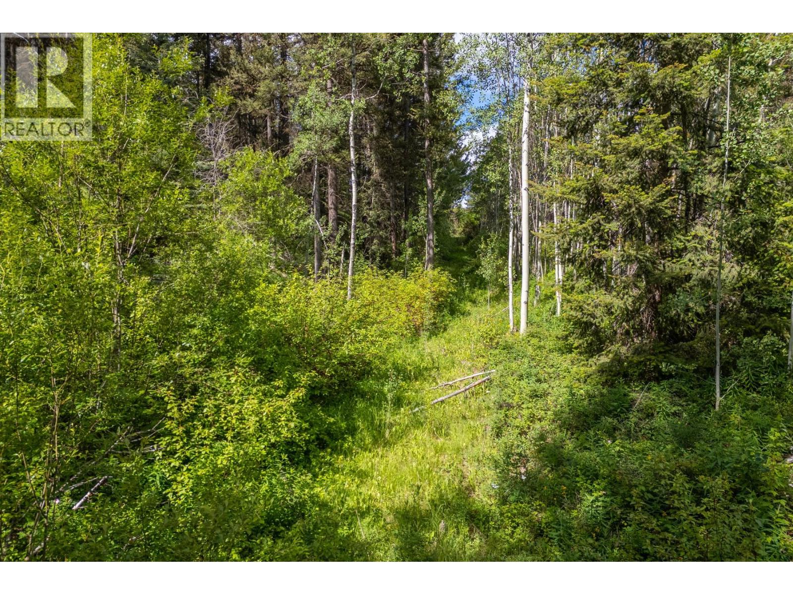 537 Wild Rose Drive, Merritt, British Columbia  V1K 1B8 - Photo 18 - 10393705