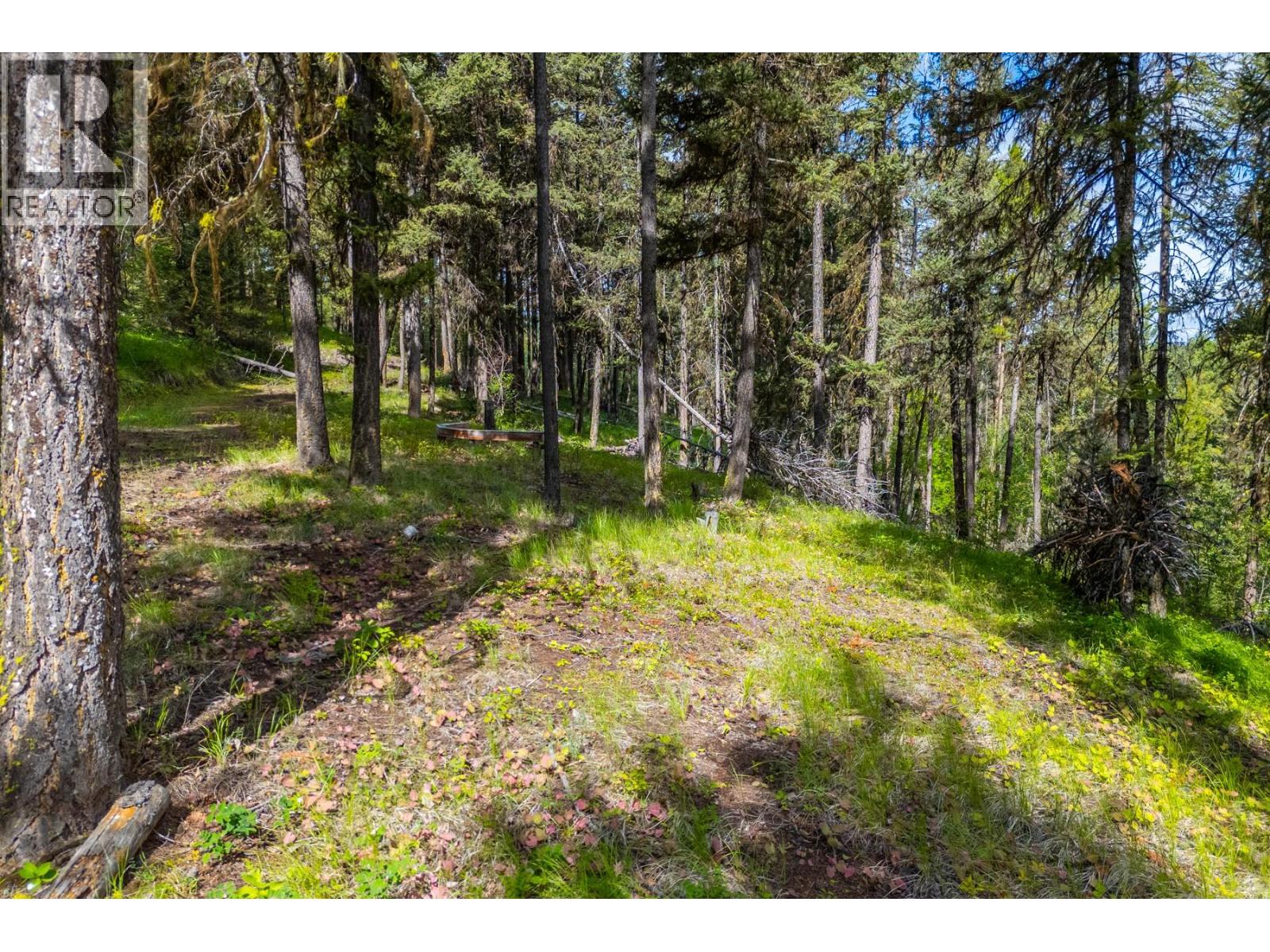 537 Wild Rose Drive, Merritt, British Columbia  V1K 1B8 - Photo 20 - 10393705