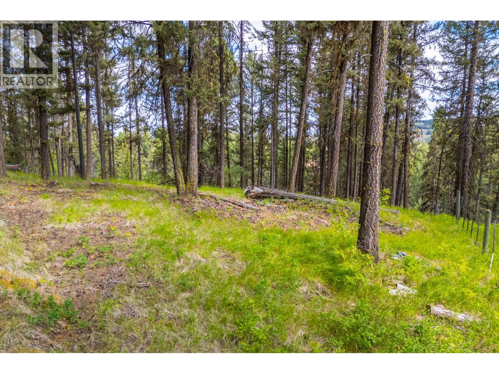 537 Wild Rose Drive, Merritt, British Columbia  V1K 1B8 - Photo 22 - 10393705