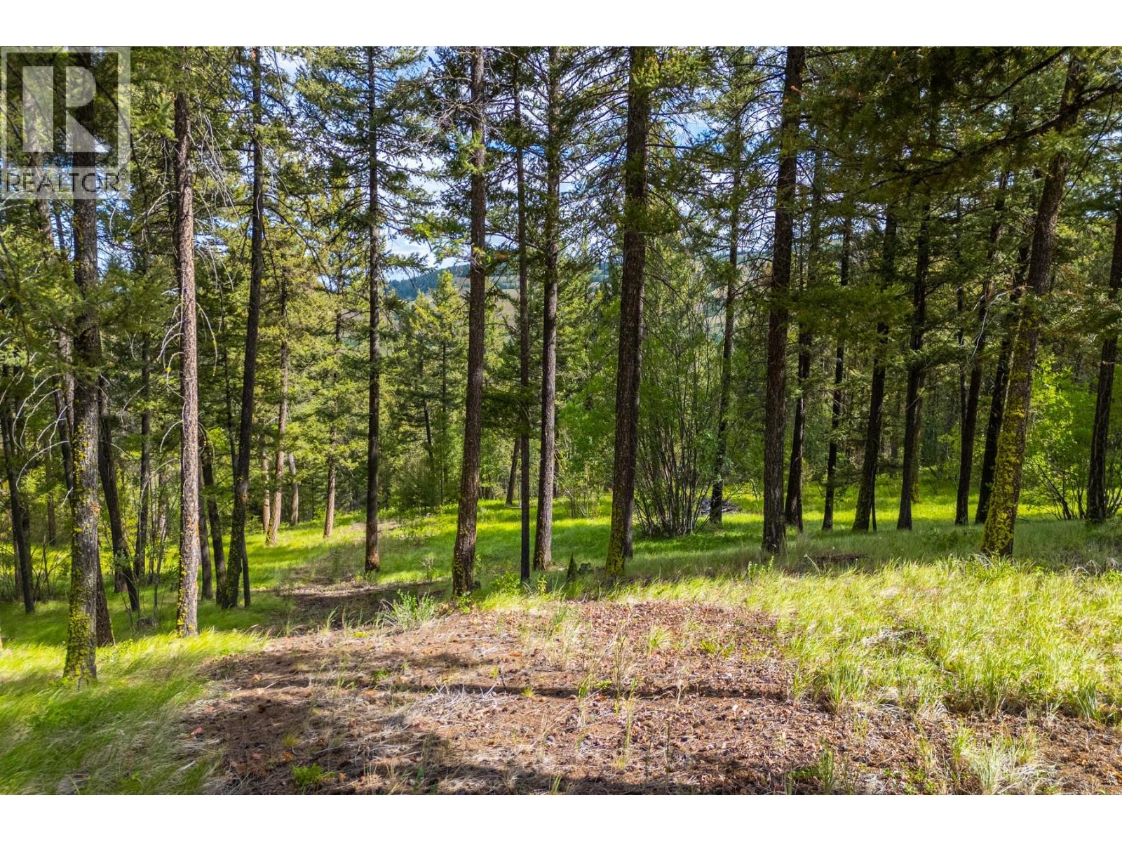 537 Wild Rose Drive, Merritt, British Columbia  V1K 1B8 - Photo 25 - 10393705