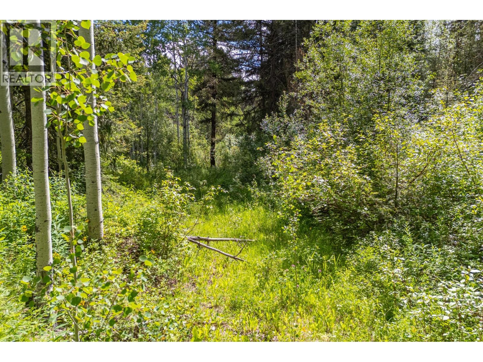 537 Wild Rose Drive, Merritt, British Columbia  V1K 1B8 - Photo 8 - 10393705