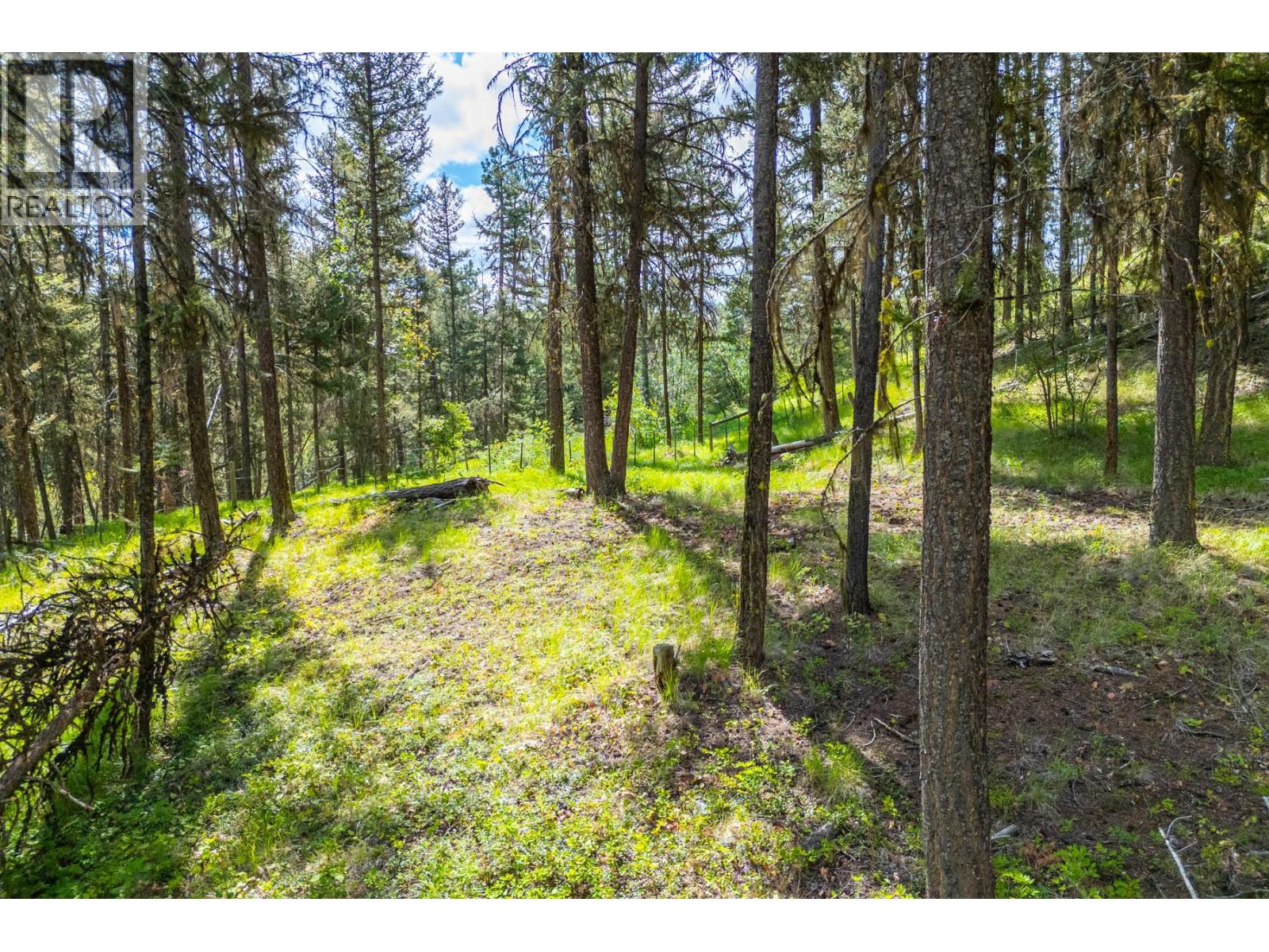 537 Wild Rose Drive, Merritt, British Columbia  V1K 1B8 - Photo 23 - 10393705
