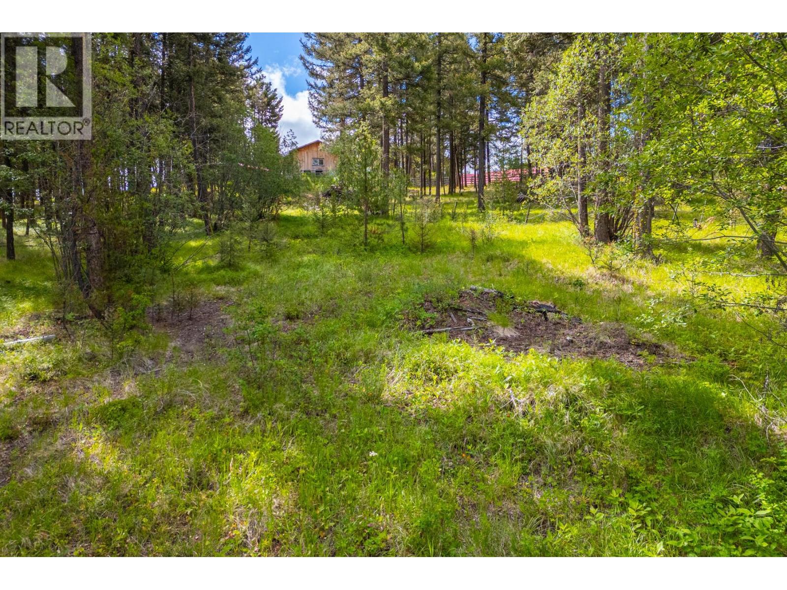 537 Wild Rose Drive, Merritt, British Columbia  V1K 1B8 - Photo 7 - 10393705