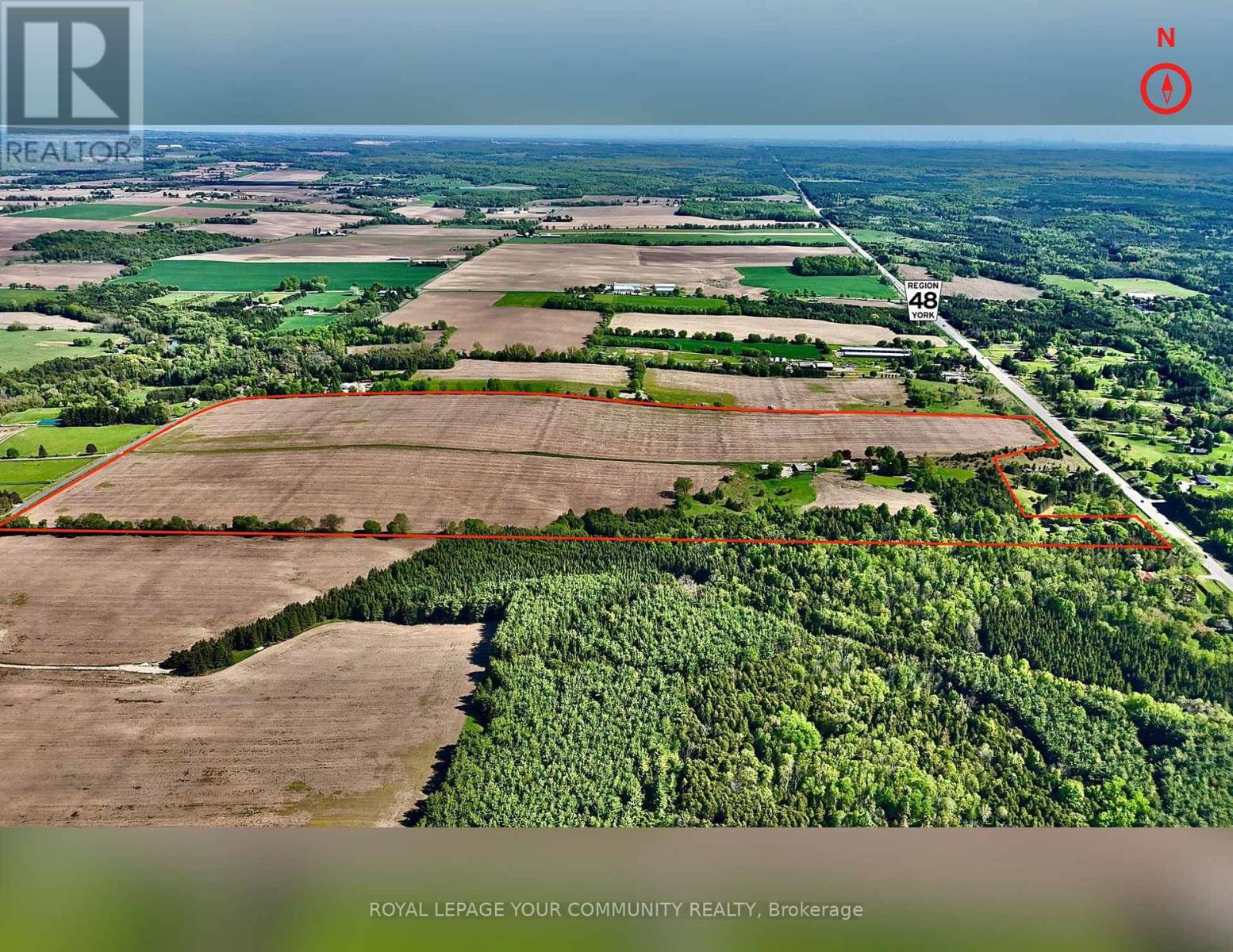 18609 Highway 48, East Gwillimbury (Mt Albert), Ontario  L0G 1M0 - Photo 3 - N13687498