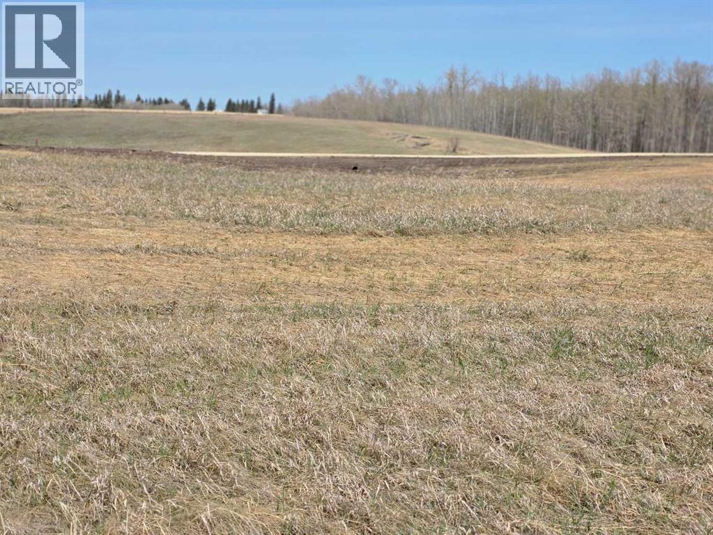 #6 C&e Trail North Of Blackfalds, Rural Lacombe County, Alberta  T0M 0J0 - Photo 10 - A2292863