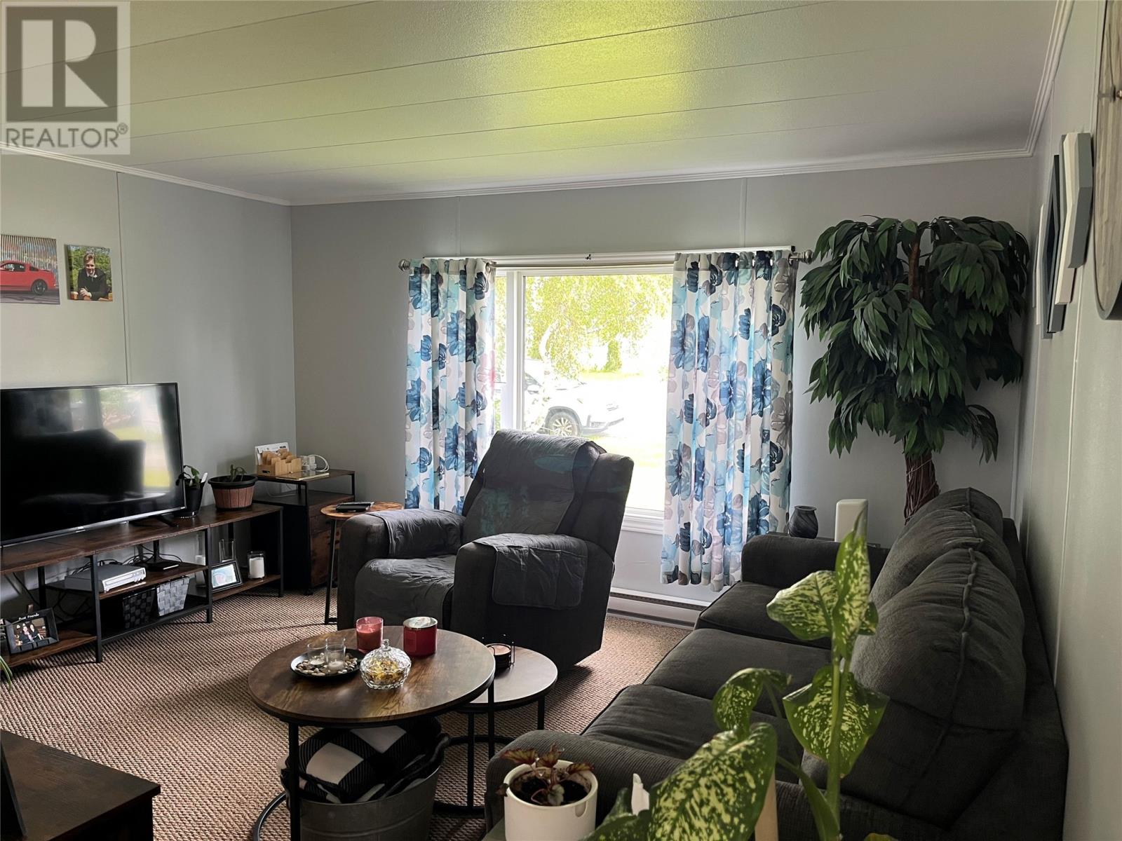 15 Viscount Crescent, Gander — photo 13