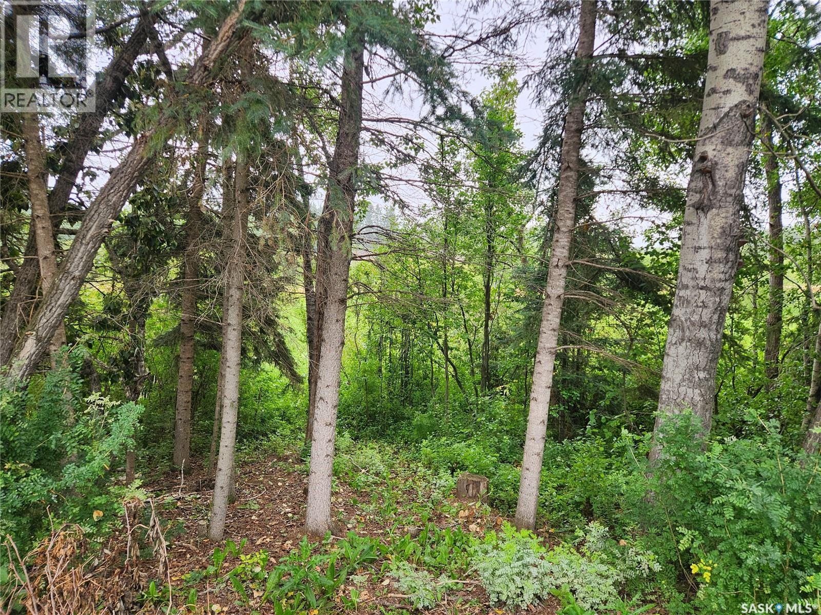 Mistatim Acreage, Bjorkdale Rm No. 426, Saskatchewan  S0E 1B0 - Photo 43 - SK045855