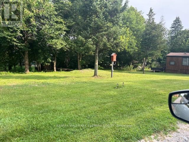 691 Frank Hill Road, Kawartha Lakes, Ontario  K9J 6X3 - Photo 12 - X13687668