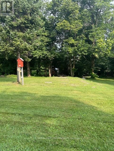 691 Frank Hill Road, Kawartha Lakes, Ontario  K9J 6X3 - Photo 14 - X13687668