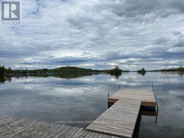 691 Frank Hill Road, Kawartha Lakes, Ontario  K9J 6X3 - Photo 20 - X13687668