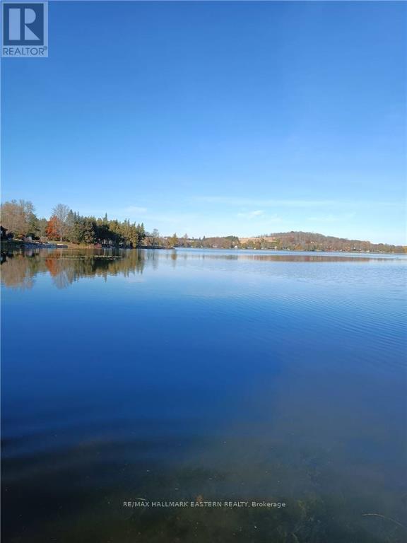691 Frank Hill Road, Kawartha Lakes, Ontario  K9J 6X3 - Photo 6 - X13687668