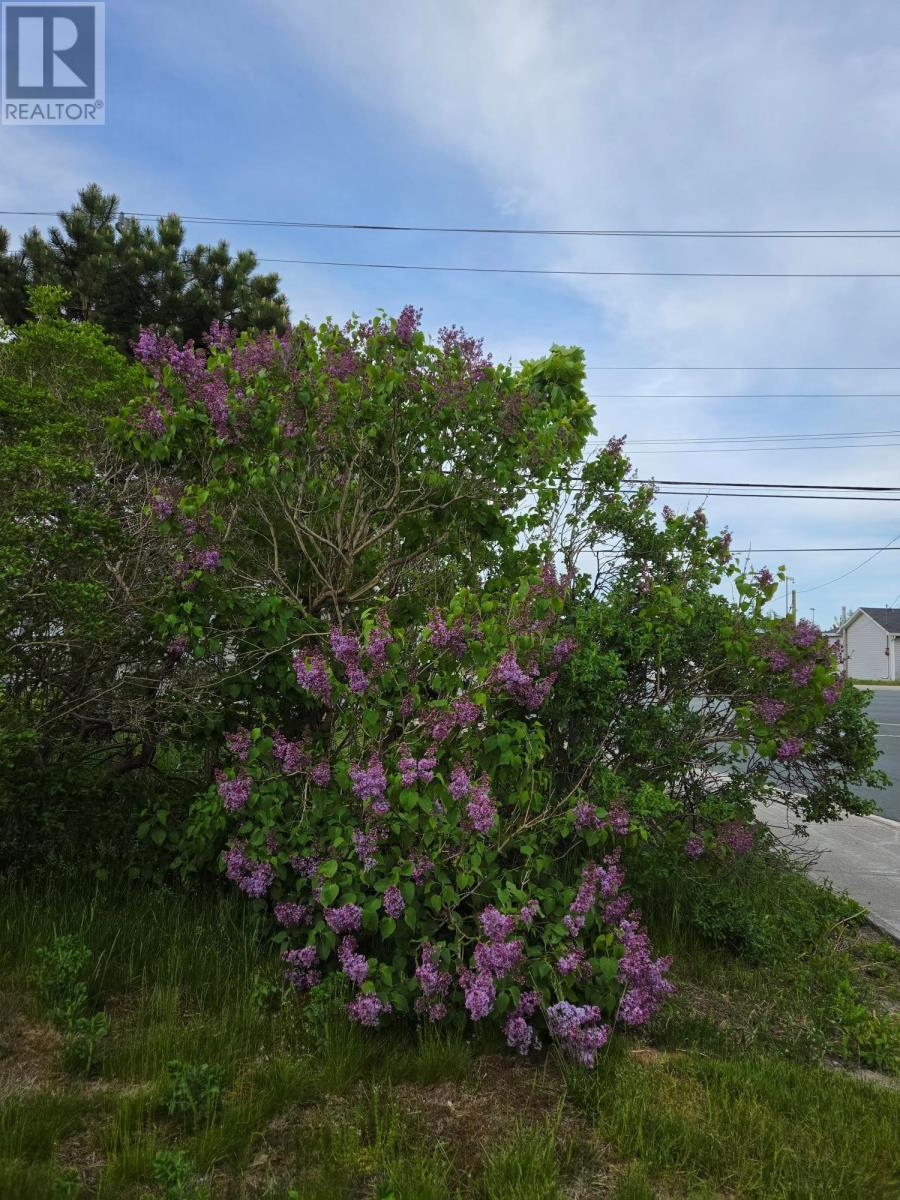65 Whiteley Drive, Mount Pearl — photo 42