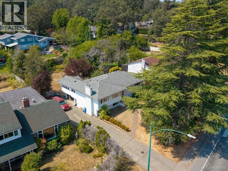 3512 Henderson Rd, Oak Bay, British Columbia  V8P 5B1 - Photo 58 - 1047059