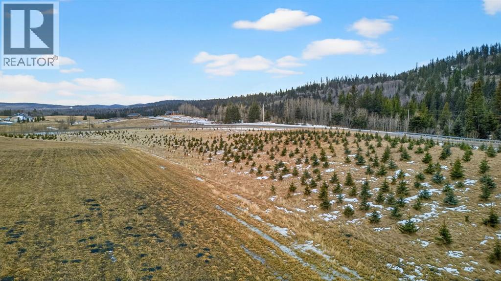 Parkins Road, Rural Foothills County, Alberta  T0L 1K0 - Photo 19 - A2300111