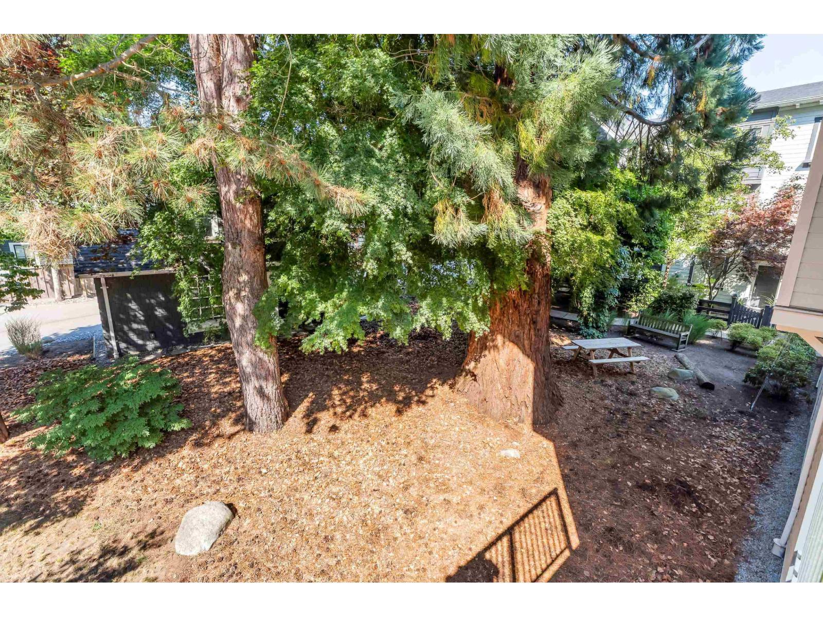 14 277 171 Street, Surrey, British Columbia  V3Z 9P4 - Photo 11 - R3155991
