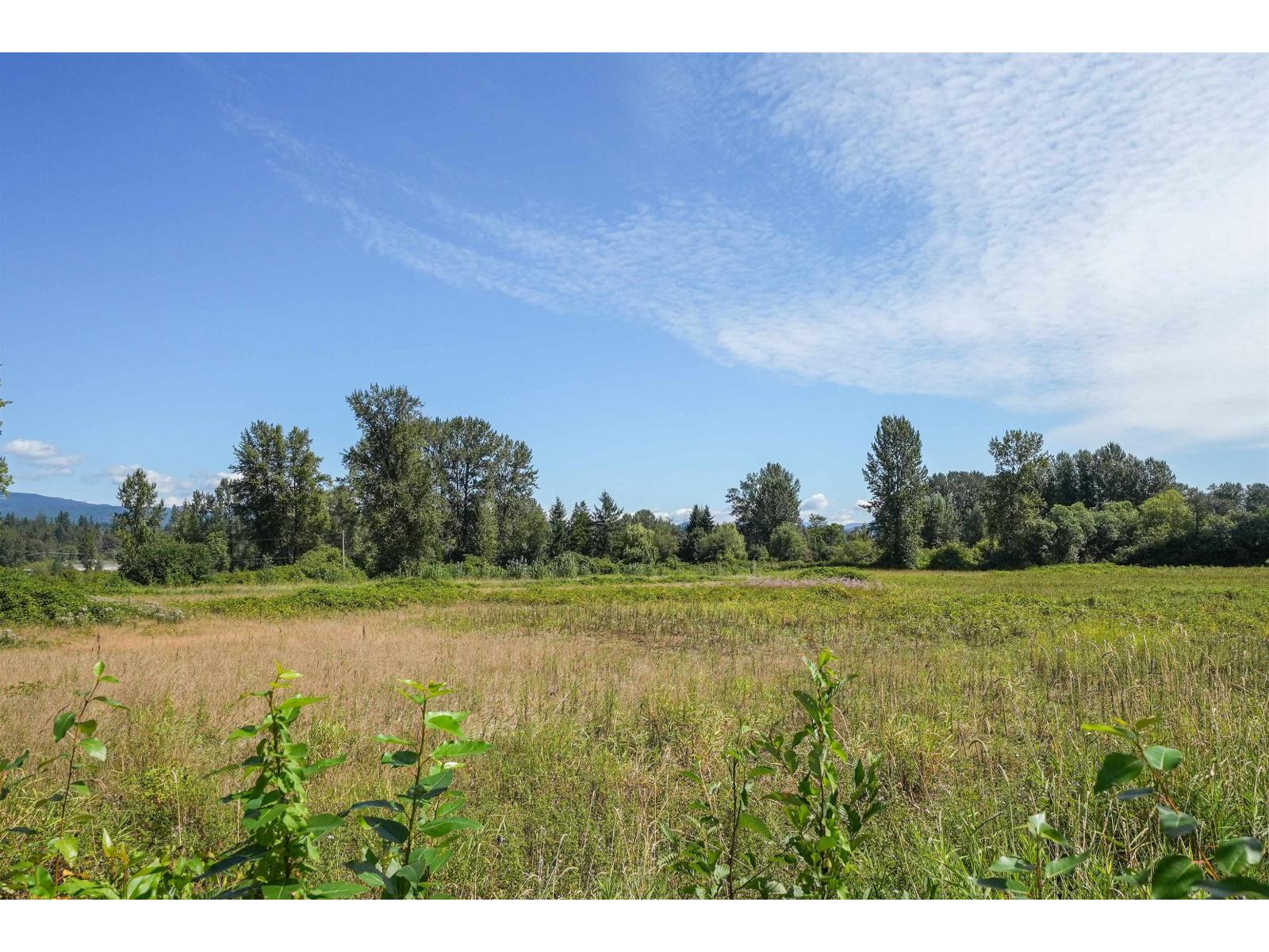 27612 River Road, Abbotsford, British Columbia  V4X 2H1 - Photo 14 - R3156674