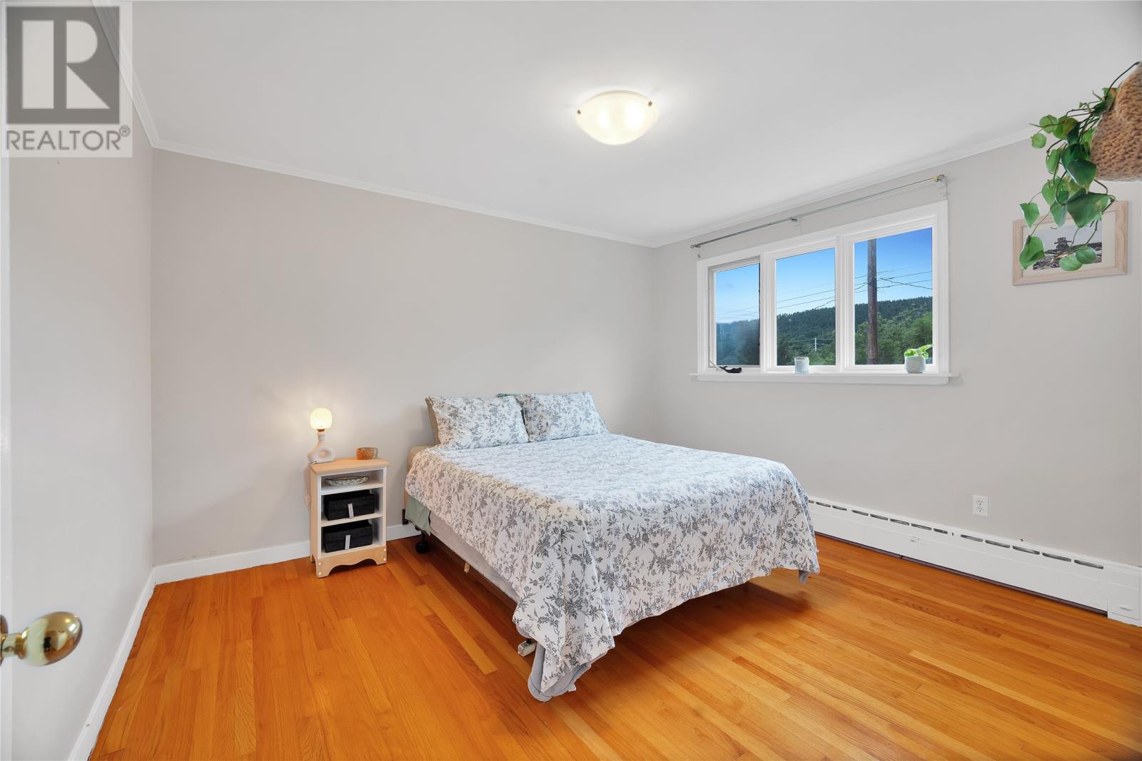 16 Dundas Street, St John's — photo 14