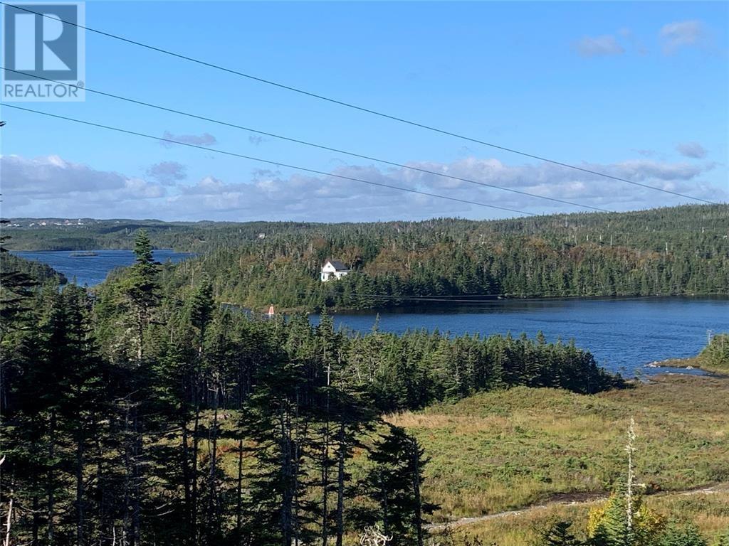 LOT 5 Halleran Trail, Brigus Junction