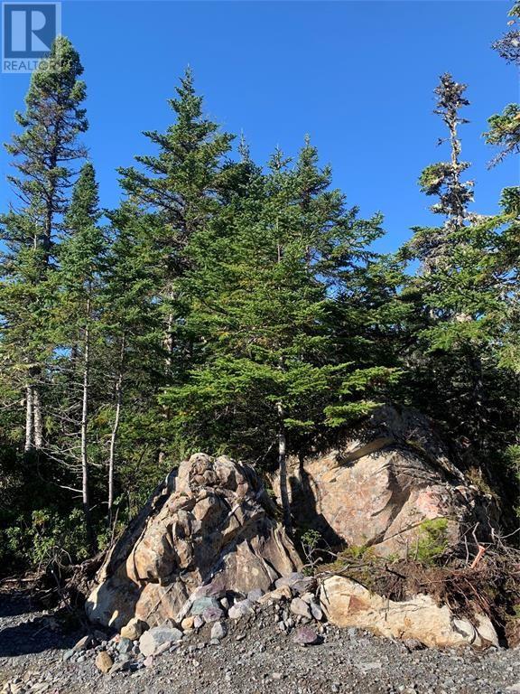 LOT 5 Halleran Trail, Brigus Junction — photo 3