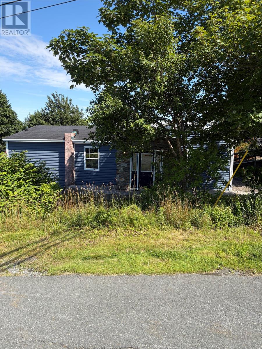 338 Airport Heights Drive, St. John's, Newfoundland & Labrador A1A 4X9 - Photo 3 - 1301752