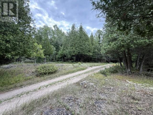2099 Bidwell Road, Manitowaning, Ontario  P0P 1N0 - Photo 16 - 2127433